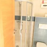 310- Vucko Privatni Apartamento 4*